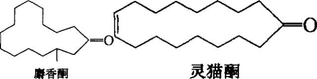 香水的香氣從何而來？