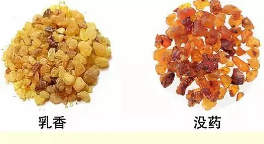 乳香，Boswellia Carterri Birdw 橄欖科