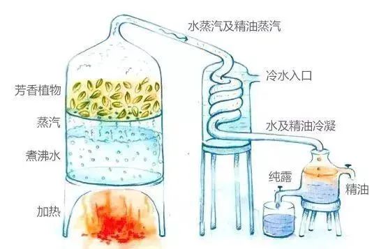 芳香療法，一個起源于5000年前的神秘學(xué)科
