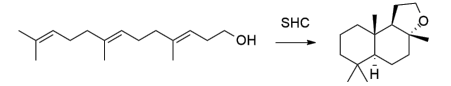 生物合成香料的化學(xué)組成、可持續(xù)性和天然性