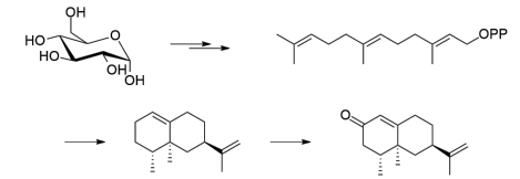 生物合成香料的化學(xué)組成、可持續(xù)性和天然性