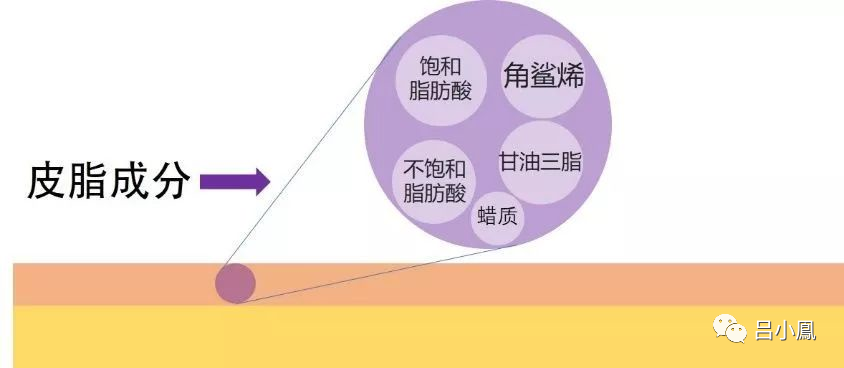 2022年護膚熱門功效成分有哪些？