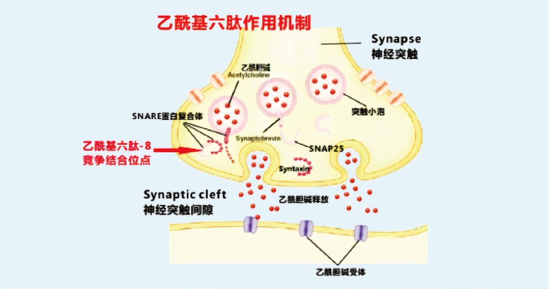2022年護膚熱門功效成分有哪些？