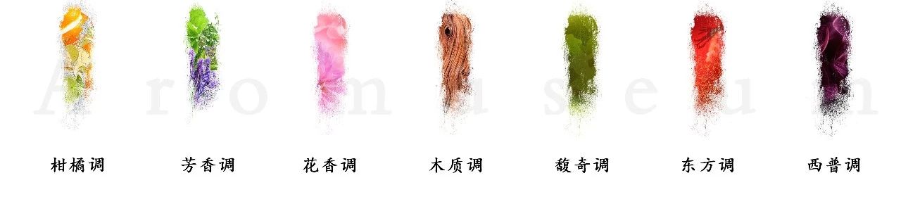 為什么有人一身果香，有人卻一身藿香？
