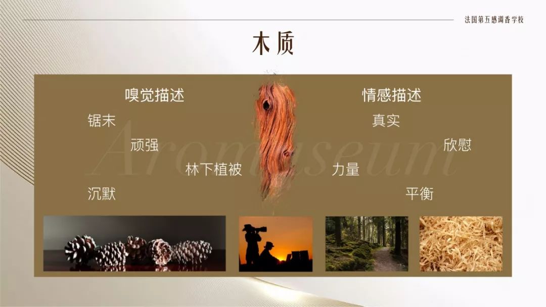 為什么有人一身果香，有人卻一身藿香？