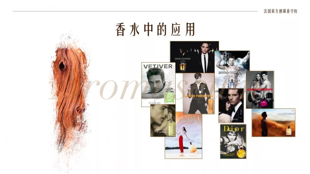 為什么有人一身果香，有人卻一身藿香？